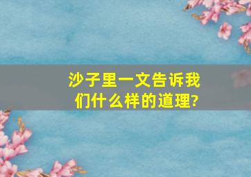 沙子里一文告诉我们什么样的道理?