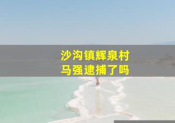 沙沟镇辉泉村马强逮捕了吗