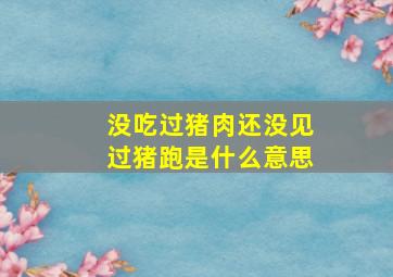 没吃过猪肉还没见过猪跑是什么意思(