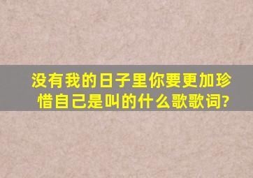 没有我的日子里你要更加珍惜自己,是叫的什么歌,歌词?