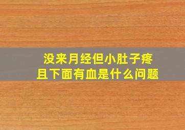 没来月经但小肚子疼且下面有血,是什么问题