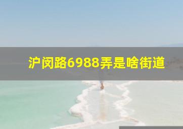 沪闵路6988弄是啥街道(