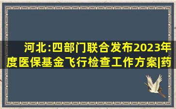 河北:四部门联合发布2023年度医保基金飞行检查工作方案|药品|医保局...