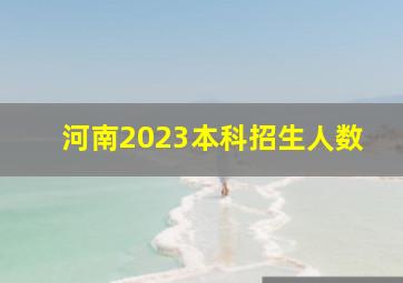 河南2023本科招生人数