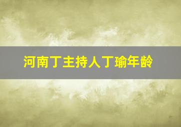 河南丁主持人丁瑜年龄