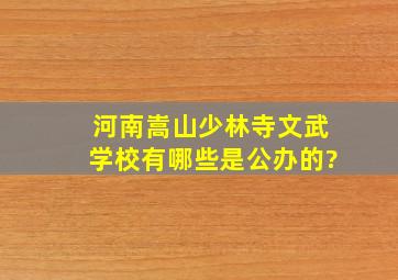 河南嵩山少林寺文武学校有哪些是公办的?