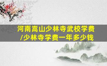 河南嵩山少林寺武校学费/少林寺学费一年多少钱