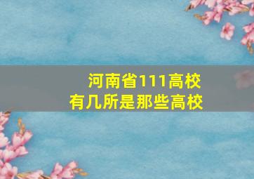 河南省111高校有几所,是那些高校