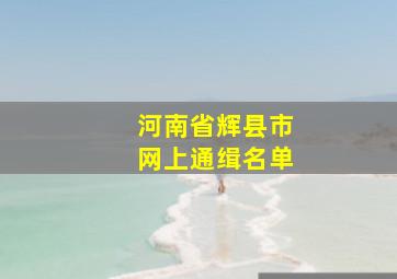 河南省辉县市网上通缉名单