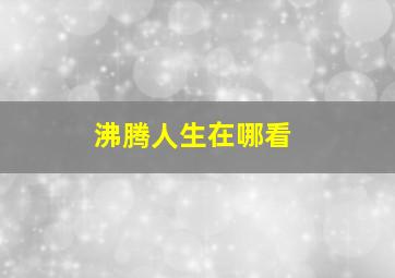 沸腾人生在哪看