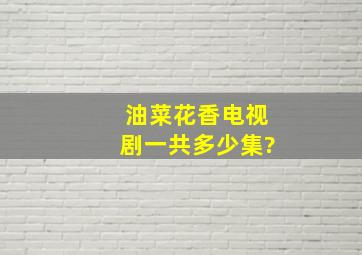 油菜花香电视剧一共多少集?