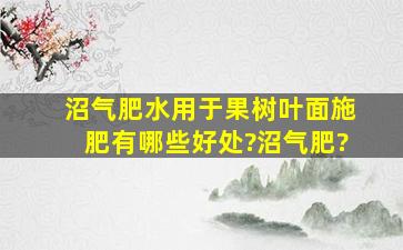 沼气肥水用于果树叶面施肥有哪些好处?沼气肥?