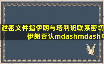 泄密文件指伊朗与塔利班联系密切伊朗否认——中新网