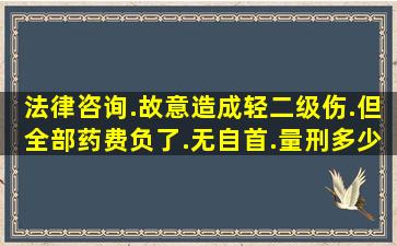 法律咨询.故意造成轻二级伤.但全部药费负了.无自首.量刑多少年