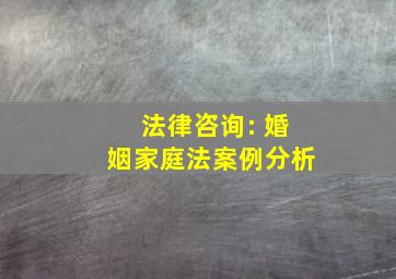 法律咨询: 婚姻家庭法案例分析