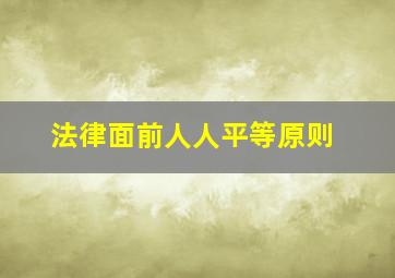 法律面前人人平等原则