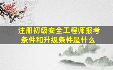 注册初级安全工程师报考条件和升级条件是什么 