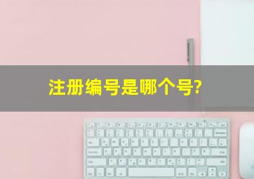 注册编号是哪个号?