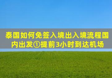 泰国如何免签入境出入境流程国内出发①提前3小时到达机场, 