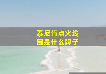 泰尼肯点火线圈是什么牌子(