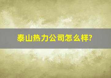 泰山热力公司怎么样?