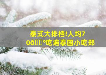 泰式大排档!人均70💰吃遍泰国小吃郑