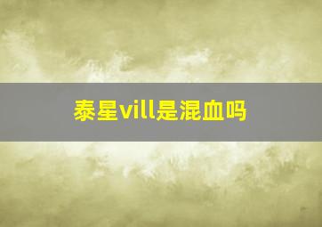 泰星vill是混血吗