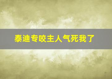 泰迪专咬主人,气死我了