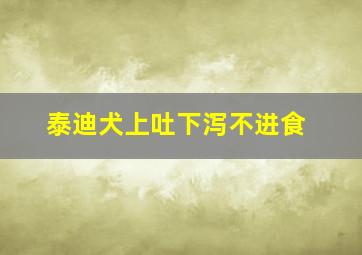 泰迪犬上吐下泻不进食(