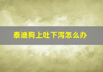 泰迪狗上吐下泻怎么办