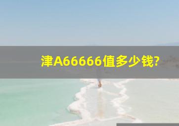 津A66666值多少钱?