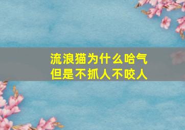 流浪猫为什么哈气但是不抓人不咬人