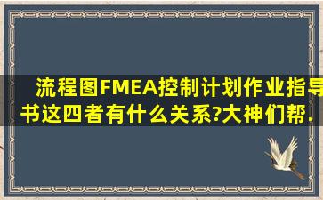 流程图、FMEA、控制计划、作业指导书这四者有什么关系?大神们帮...