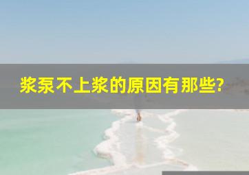 浆泵不上浆的原因有那些?