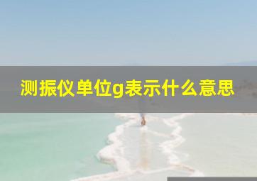 测振仪单位g表示什么意思