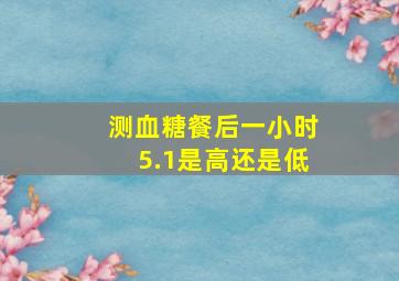 测血糖餐后一小时5.1是高还是低