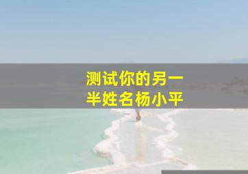 测试你的另一半姓名杨小平