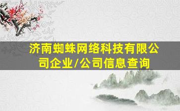 济南蜘蛛网络科技有限公司  企业/公司信息查询 