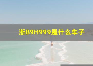 浙B9H999是什么车子