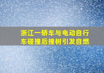 浙江一轿车与电动自行车碰撞后撞树引发自燃