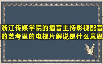 浙江传媒学院的播音主持影视配音的艺考里的电视片解说是什么意思?