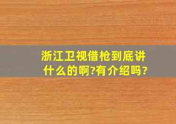 浙江卫视《借枪》到底讲什么的啊?有介绍吗?