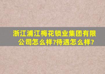 浙江浦江梅花锁业集团有限公司怎么样?待遇怎么样?