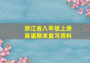 浙江省八年级上册英语期末复习资料