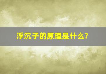 浮沉子的原理是什么?