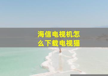 海信电视机怎么下载电视猫(