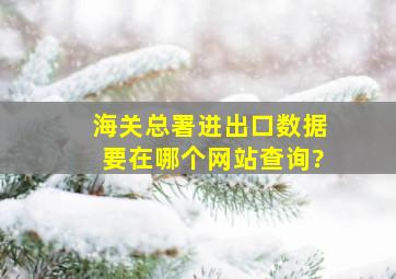 海关总署进出口数据要在哪个网站查询?