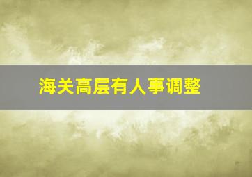 海关高层有人事调整 