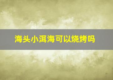 海头小洱海可以烧烤吗