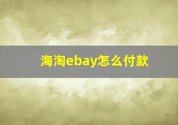 海淘ebay怎么付款